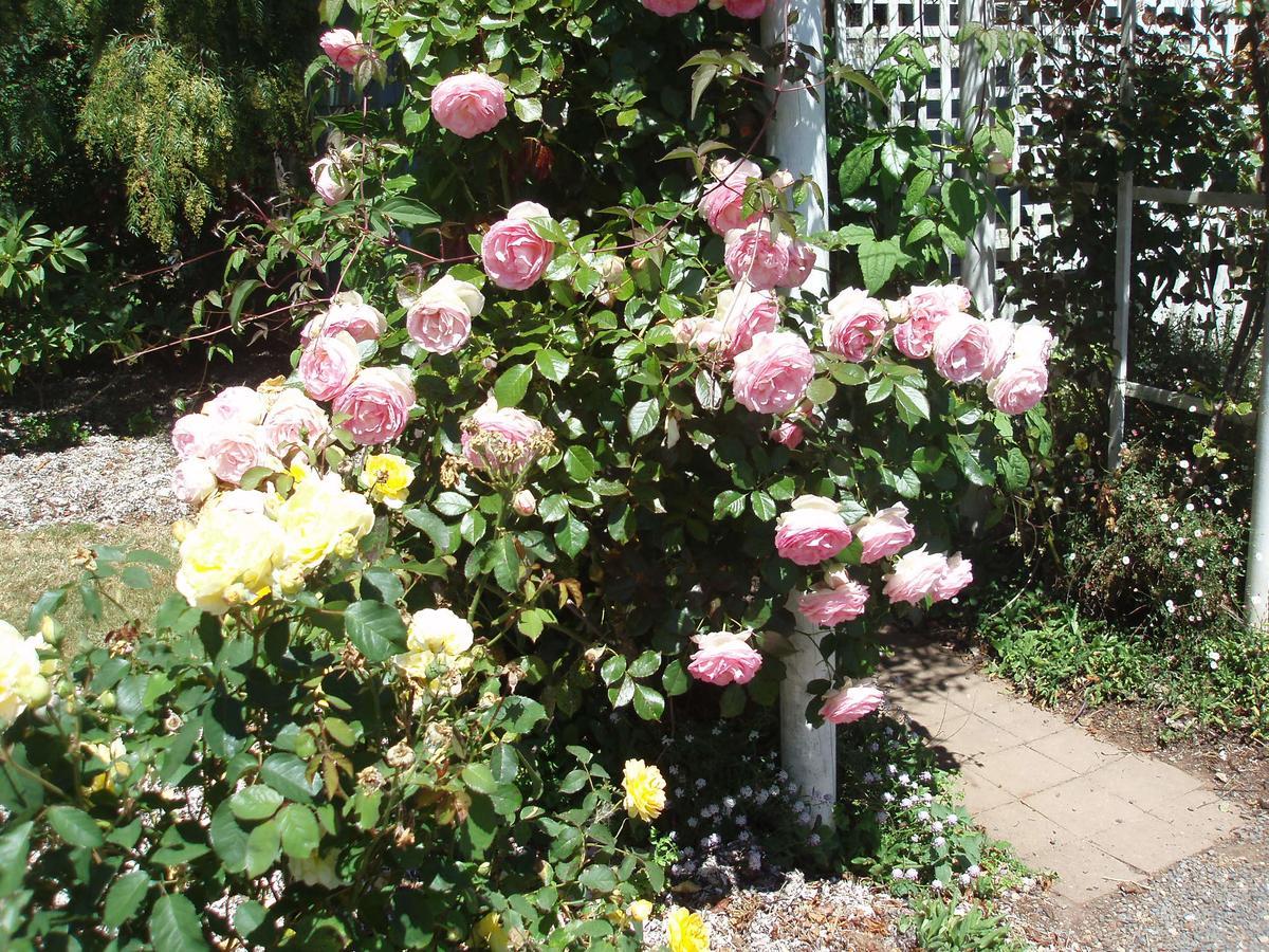 Boat Harbour Garden Cottages Luaran gambar