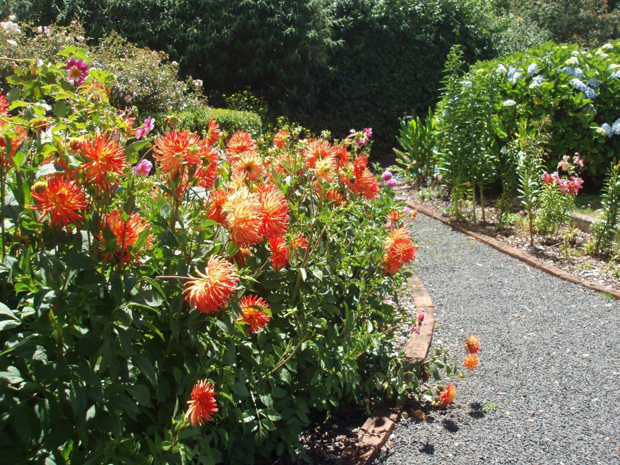 Boat Harbour Garden Cottages Luaran gambar